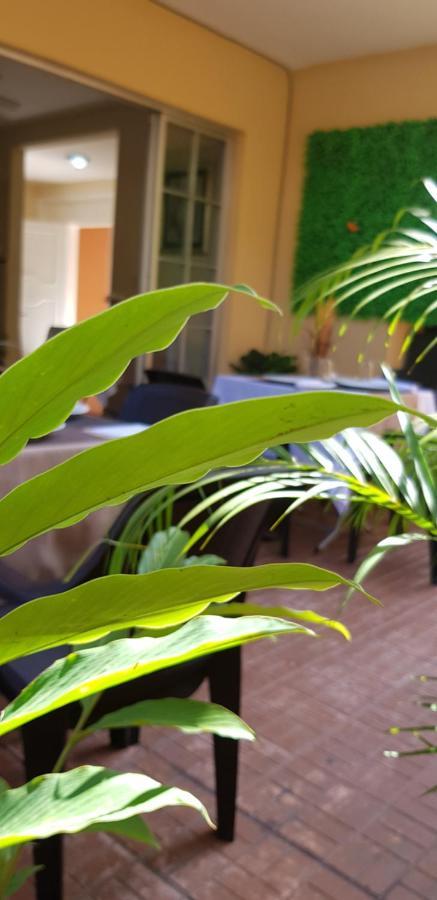 Mh Boutique Hotel San Pedro Sula Exteriér fotografie